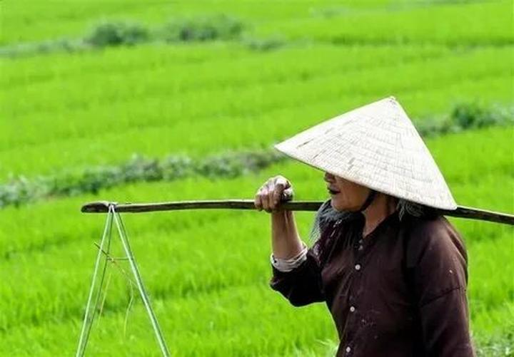 Hotspot Matrix và Lợi Ích Khi Mua Nhà Với Tên Của Mình