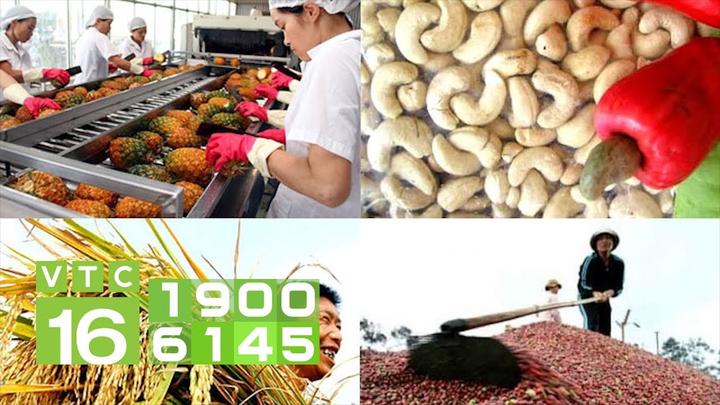 Xu hướng Nhà văn nói: 1 người nóng nảy: Hotspot Matrix tiết lộ bí quyết video viral