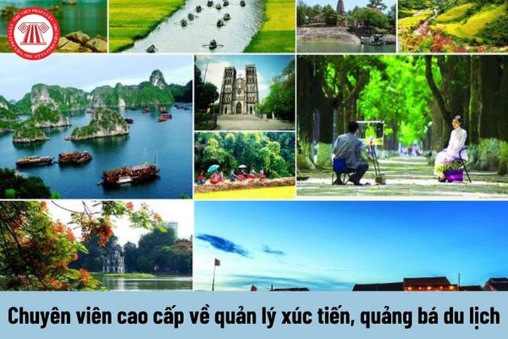 Chuyên gia Hotspot Matrix phân tích: Quẹt thẻ cực chất, chạm ngay và marketing video