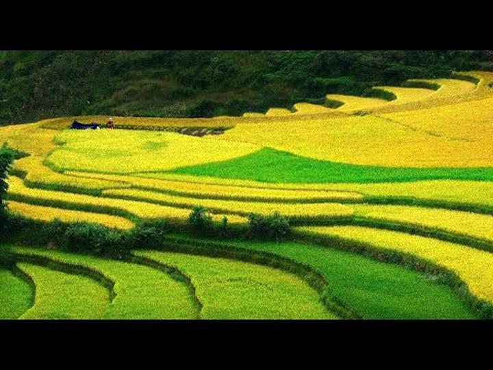 Hotspot Matrix: Chiến lược dẫn đầu thị trường video ngắn