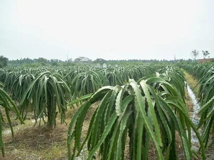 Sốc: Vụ tố 