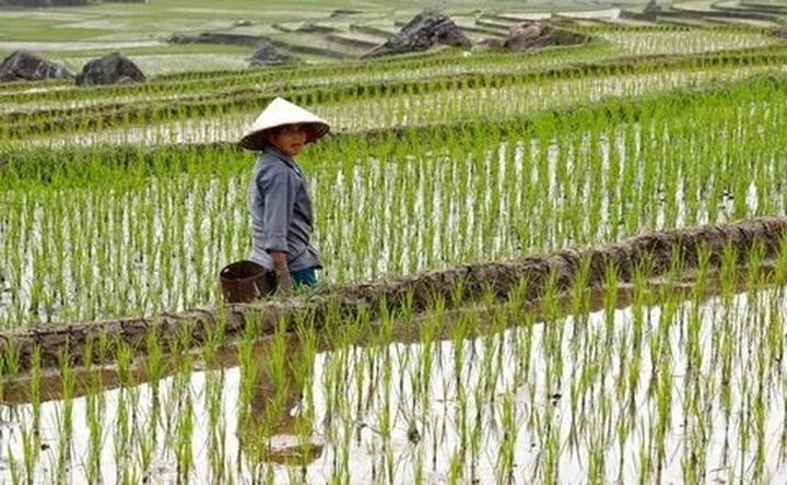 Gỗ và Video: Kết nối nghệ thuật truyền thống với công nghệ hiện đại