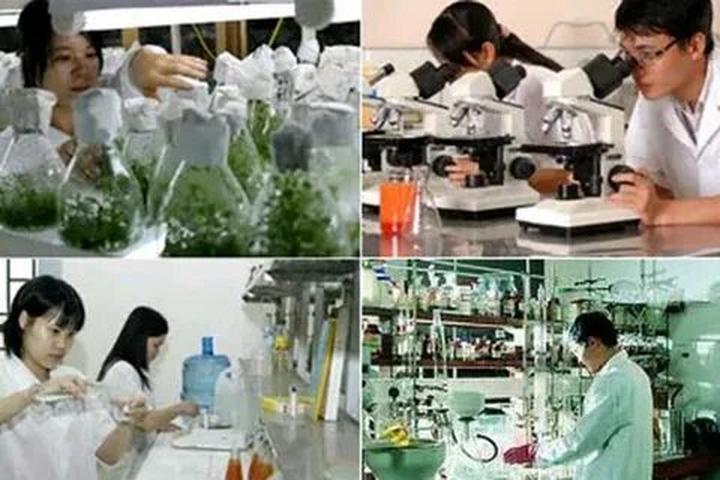 Từ Người xưa dặn trồng chuối sau đến chiến lược content: Hotspot Matrix chia sẻ