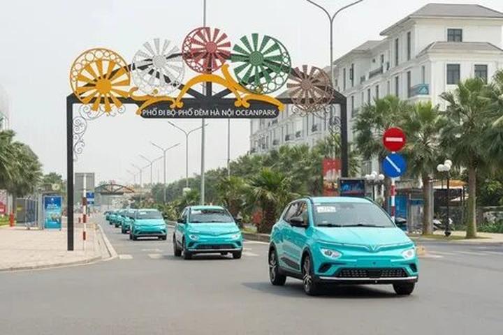 Xu Hướng Trồng Hoa Trở Thành Xu Hướng Video Marketing: Hotspot Matrix Chia Sẻ Kinh Nghiệm